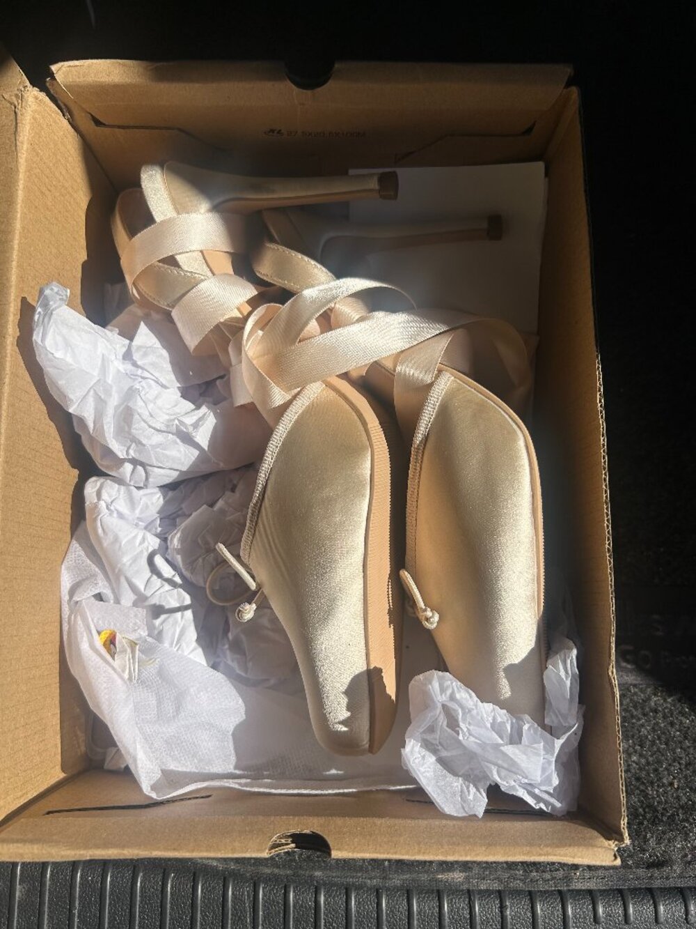 Rose Pink Ballerina Heels